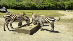 秋吉台自然動物公園 サファリランドに投稿された画像(2026/5/10)