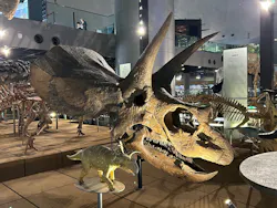 福井県立恐竜博物館に投稿された画像(2026/5/11)