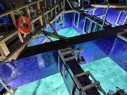 サンシャイン水族館に投稿された画像(2026/5/11)