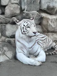 東武動物公園に投稿された画像(2026/5/11)