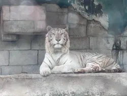 東武動物公園に投稿された画像(2026/5/11)