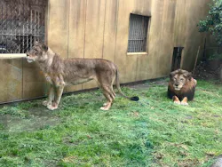 東武動物公園に投稿された画像(2026/5/11)