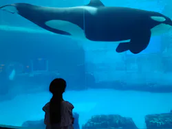 名古屋港水族館に投稿された画像(2026/5/11)