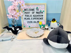 名古屋港水族館に投稿された画像(2026/5/12)