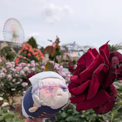 ひらかたパークに投稿された画像(2026/5/12)