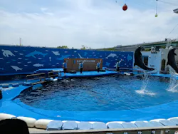 仙台うみの杜水族館に投稿された画像(2026/5/13)