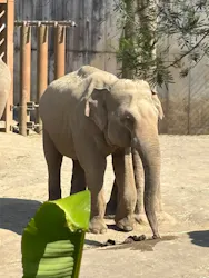 多摩動物公園に投稿された画像(2026/5/14)