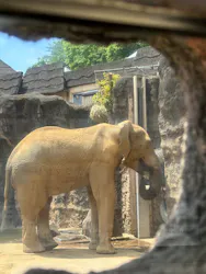 多摩動物公園に投稿された画像(2026/5/14)