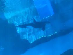 名古屋港水族館に投稿された画像(2026/5/14)