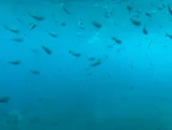 ベイクルーズ・宮古島 モンブランに投稿された画像(2026/5/14)