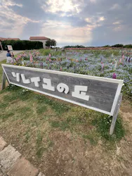 長井海の手公園ソレイユの丘に投稿された画像(2026/5/14)