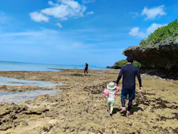 「子供の遊び場」マリンショップ響に投稿された画像(2026/5/4)