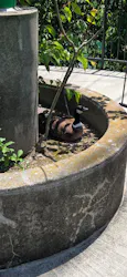 広島市安佐動物公園に投稿された画像(2026/5/15)