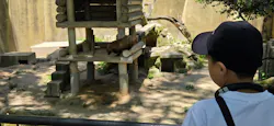 広島市安佐動物公園に投稿された画像(2026/5/15)