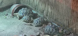 広島市安佐動物公園に投稿された画像(2026/5/15)