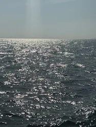 笹川流れ遊覧船 笹川流れ地魚処天ぴ屋&海カフェに投稿された画像(2026/5/15)