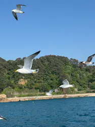 笹川流れ遊覧船 笹川流れ地魚処天ぴ屋&海カフェに投稿された画像(2026/5/15)