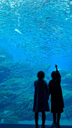 仙台うみの杜水族館に投稿された画像(2026/5/15)