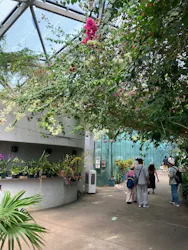 新宿御苑に投稿された画像(2026/5/16)