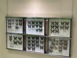 ”世界は昆虫であふれている”世界の昆虫展inえひめに投稿された画像(2026/5/16)