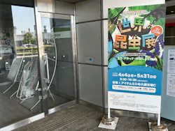 ”世界は昆虫であふれている”世界の昆虫展inえひめに投稿された画像(2026/5/16)