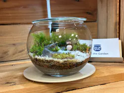 Feel the Garden幕張店に投稿された画像(2026/5/16)