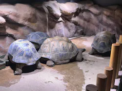 AQUARIUM × ART atoaに投稿された画像(2026/5/16)