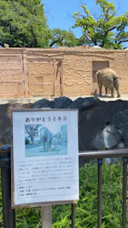 日立市かみね動物園に投稿された画像(2026/5/16)
