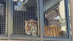 日立市かみね動物園に投稿された画像(2026/5/16)