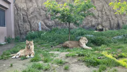 日立市かみね動物園に投稿された画像(2026/5/16)