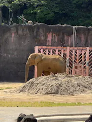 多摩動物公園に投稿された画像(2026/5/16)