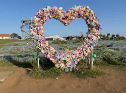 長井海の手公園ソレイユの丘に投稿された画像(2026/5/16)