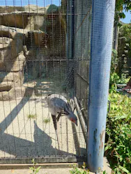 東武動物公園に投稿された画像(2026/5/17)
