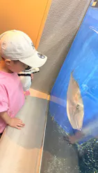 しながわ水族館に投稿された画像(2026/5/17)