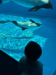 仙台うみの杜水族館に投稿された画像(2026/5/17)