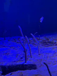 仙台うみの杜水族館に投稿された画像(2026/5/17)