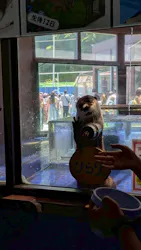 ゼロ距離水族館 伊勢シーパラダイスに投稿された画像(2026/5/18)