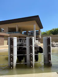 天王寺動物園に投稿された画像(2026/5/19)