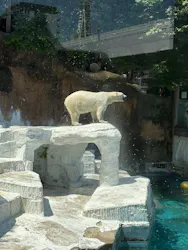 天王寺動物園に投稿された画像(2026/5/19)