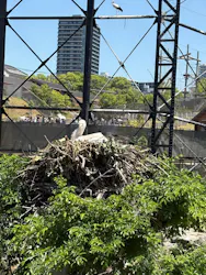 天王寺動物園に投稿された画像(2026/5/19)
