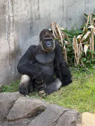 千葉市動物公園に投稿された画像(2026/5/19)