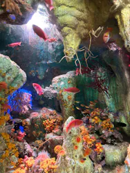 サンシャイン水族館に投稿された画像(2026/5/19)