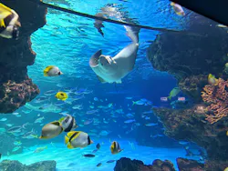 サンシャイン水族館に投稿された画像(2026/5/19)