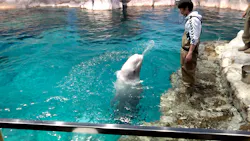 名古屋港水族館に投稿された画像(2026/5/19)