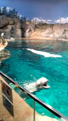 名古屋港水族館に投稿された画像(2026/5/19)