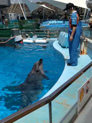 名古屋港水族館に投稿された画像(2026/5/19)