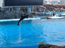 名古屋港水族館に投稿された画像(2026/5/19)