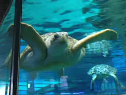 名古屋港水族館に投稿された画像(2026/5/19)