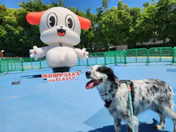 西武園ゆうえんちに投稿された画像(2026/5/19)