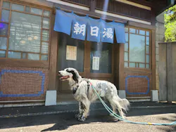 西武園ゆうえんちに投稿された画像(2026/5/19)